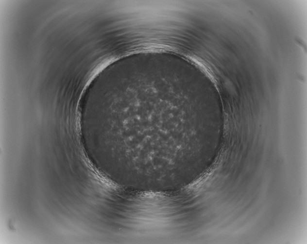 X0000098010835200804071326