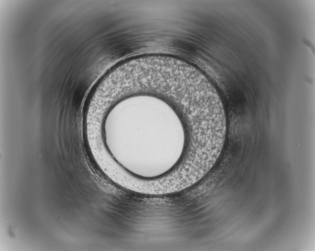 X0000098010836200804071326