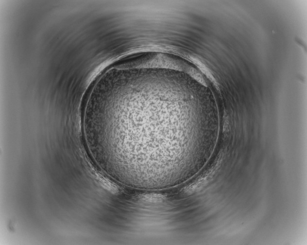 X0000098010837200804071326