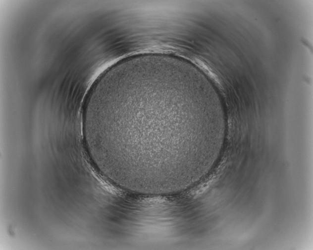 X0000098010838200804071326