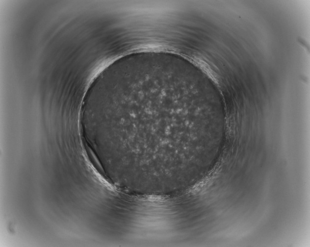 X0000098010839200804071326