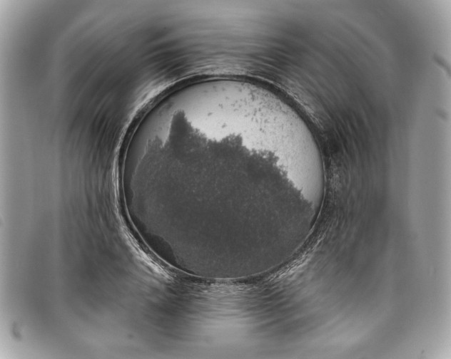 X0000098010840200804071326