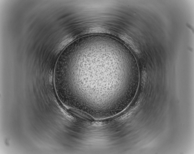 X0000098010841200804071326