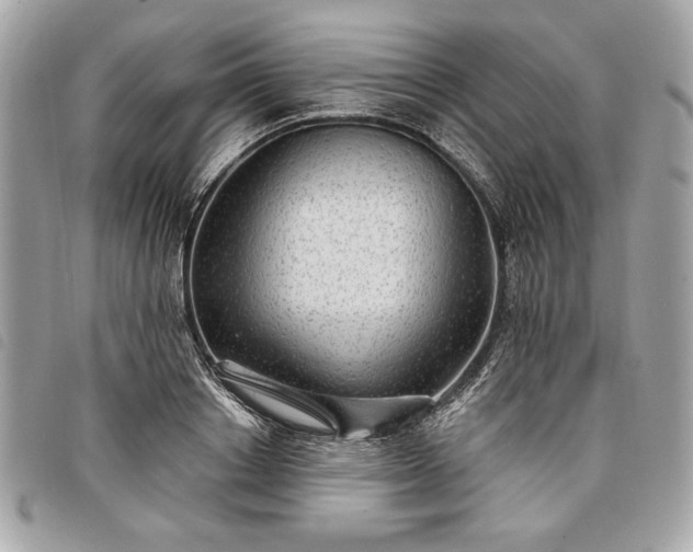 X0000098010842200804071326