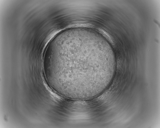 X0000098010844200804071326