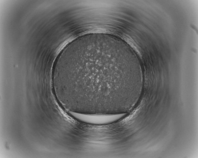 X0000098010845200804071326