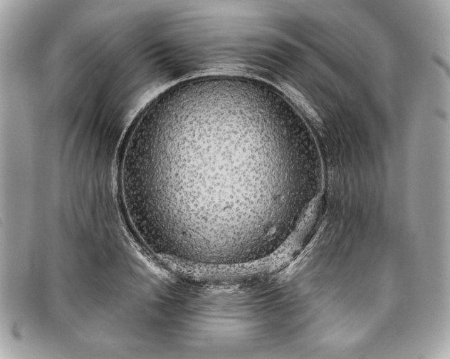 X0000098010846200804071326