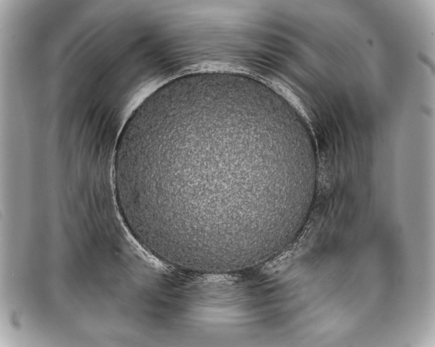 X0000098010847200804071326