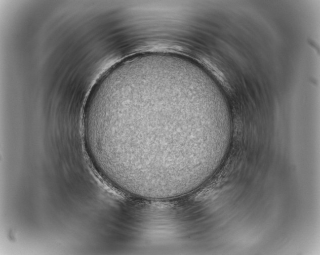 X0000098010848200804071326