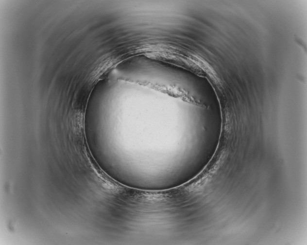 X0000098010849200804071326