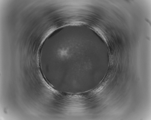 X0000098010851200804071326