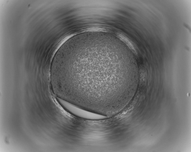 X0000098010852200804071326