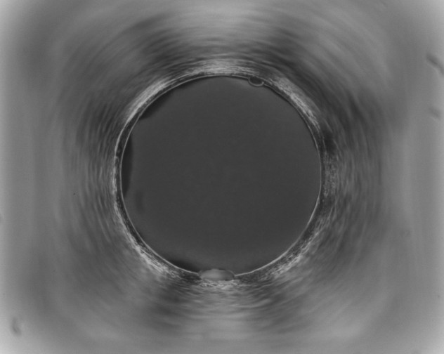 X0000098010853200804071326