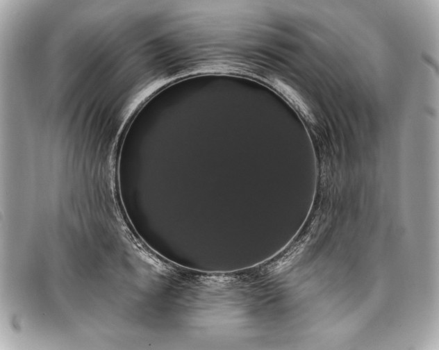 X0000098010854200804071326