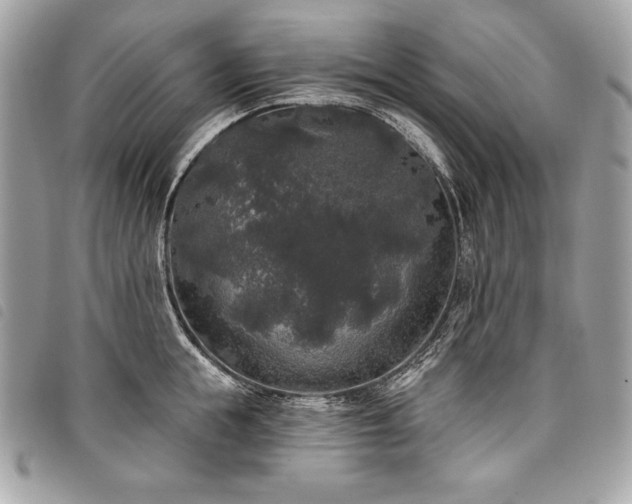 X0000098010855200804071326