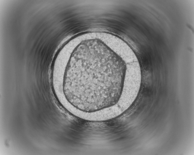 X0000098010856200804071326