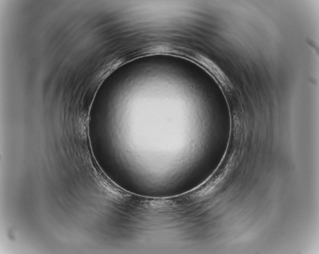 X0000098010857200804071326