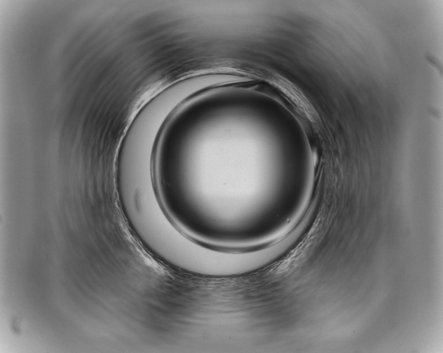 X0000098010858200804071326