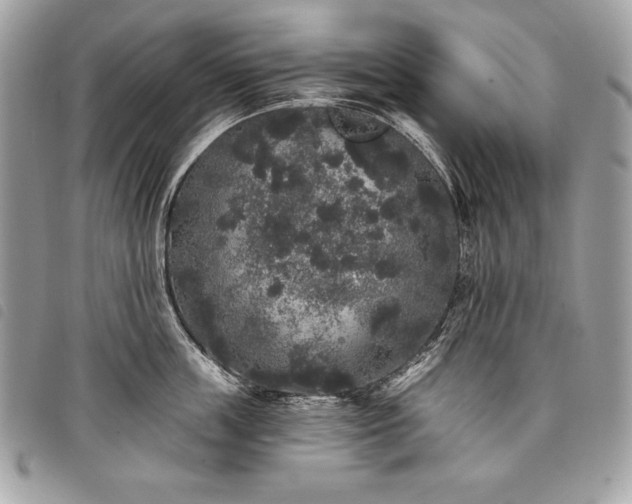 X0000098010859200804071326