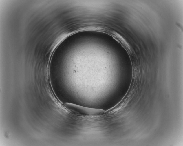 X0000098010860200804071326