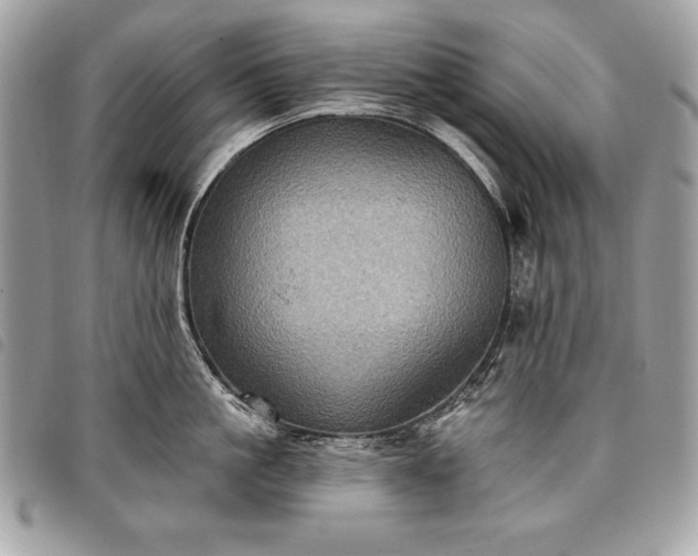 X0000098010861200804071326