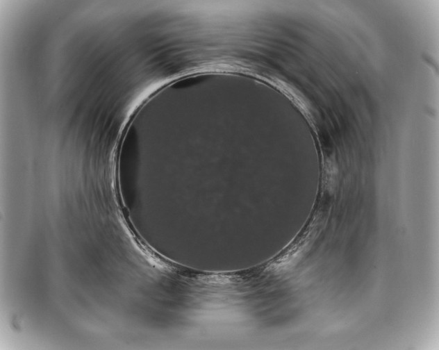 X0000098010862200804071326