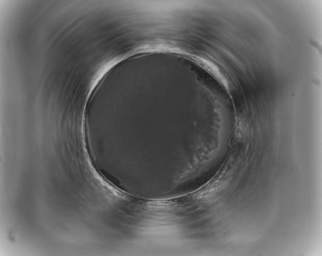 X0000098010863200804071326