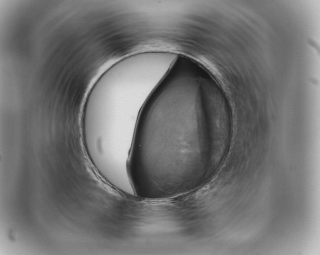 X0000098010864200804071326