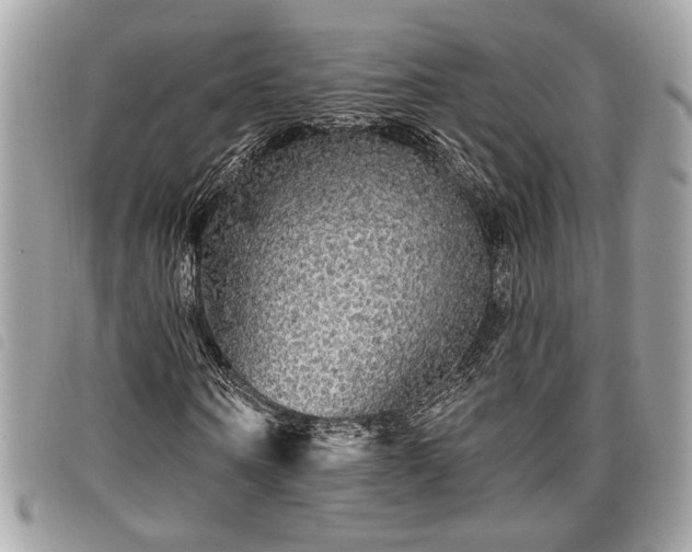 X0000098010866200804071325