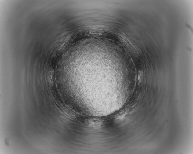 X0000098010867200804071325