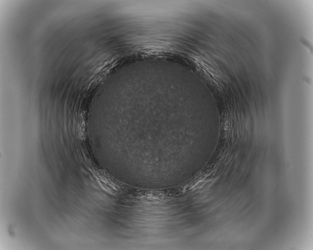 X0000098010868200804071325