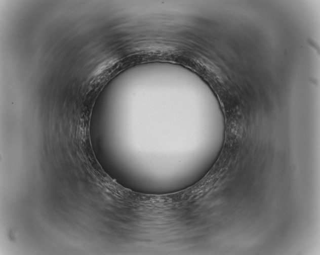 X0000098010869200804071325