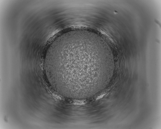 X0000098010870200804071325