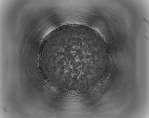 X0000098010871200804071325