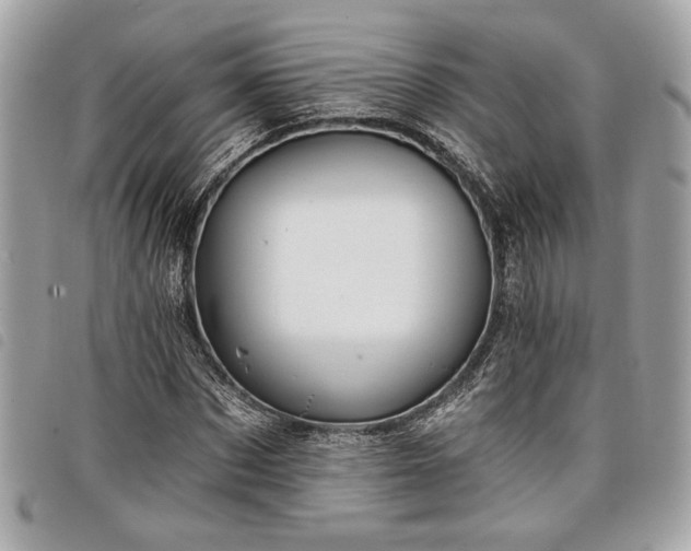 X0000098010873200804071325