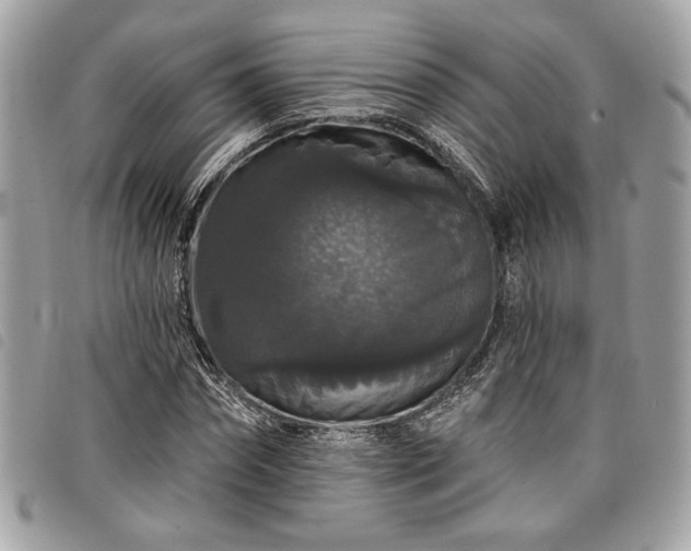 X0000098010874200804071325