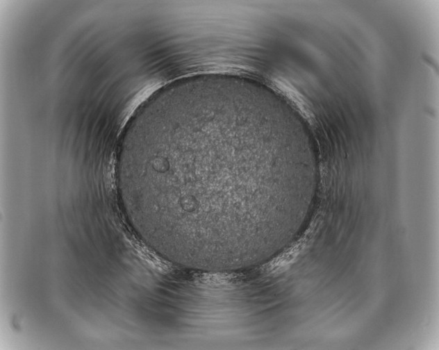 X0000098010875200804071325