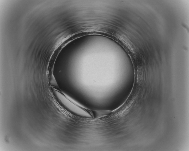 X0000098010876200804071325