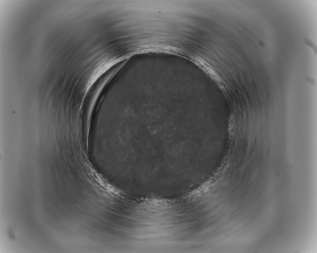 X0000098010877200804071325