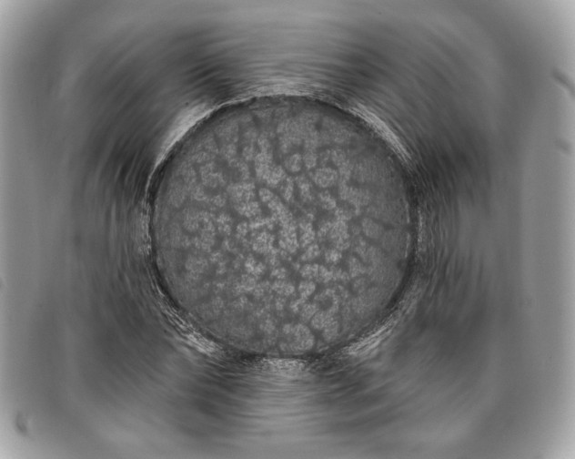 X0000098010878200804071325