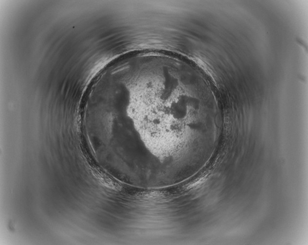 X0000098010879200804071325