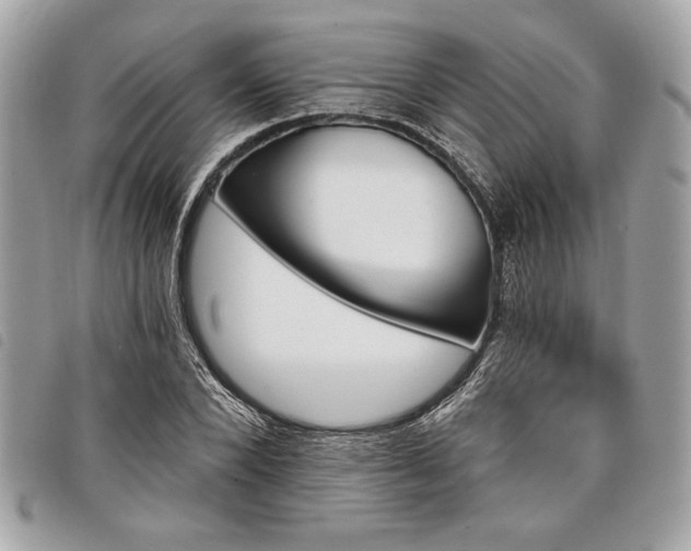 X0000098010880200804071325