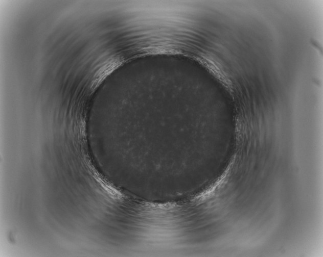 X0000098010881200804071325