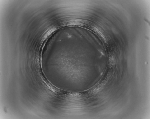 X0000098010882200804071325