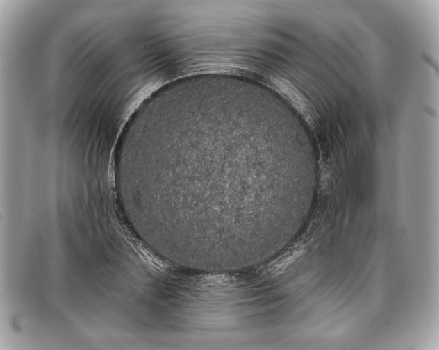 X0000098010883200804071325