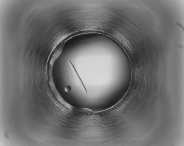 X0000098010884200804071325