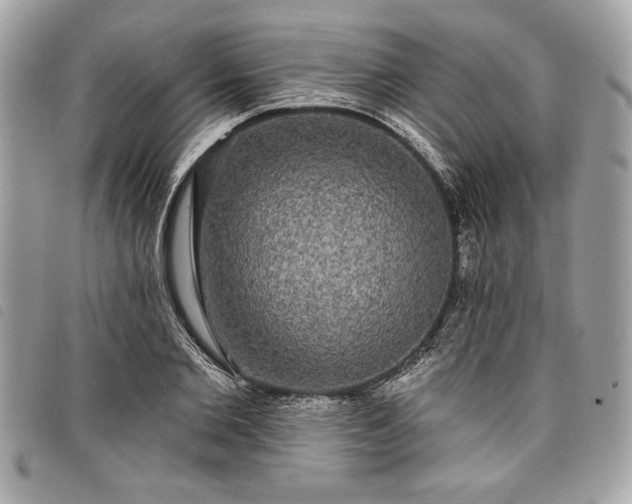 X0000098010885200804071325