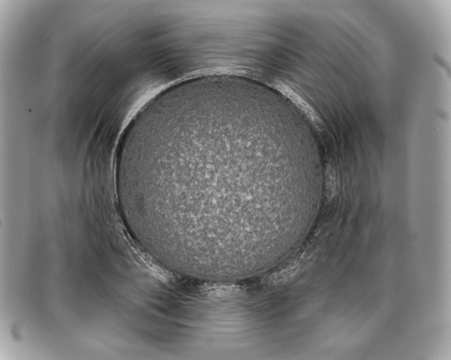 X0000098010886200804071325