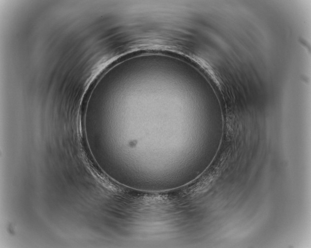 X0000098010887200804071325