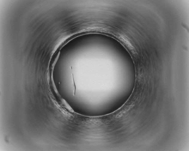 X0000098010888200804071325